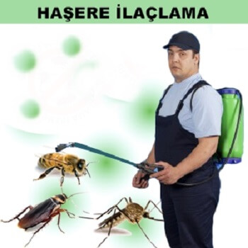 Karasu Böcek İlaçlama